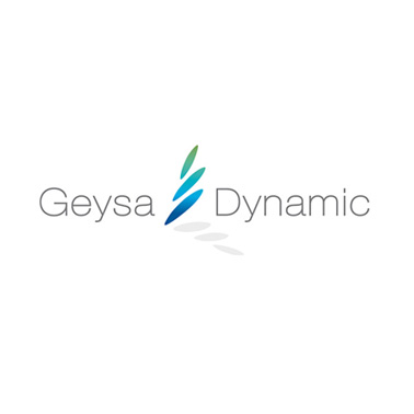 Geysa Dynamic logo design