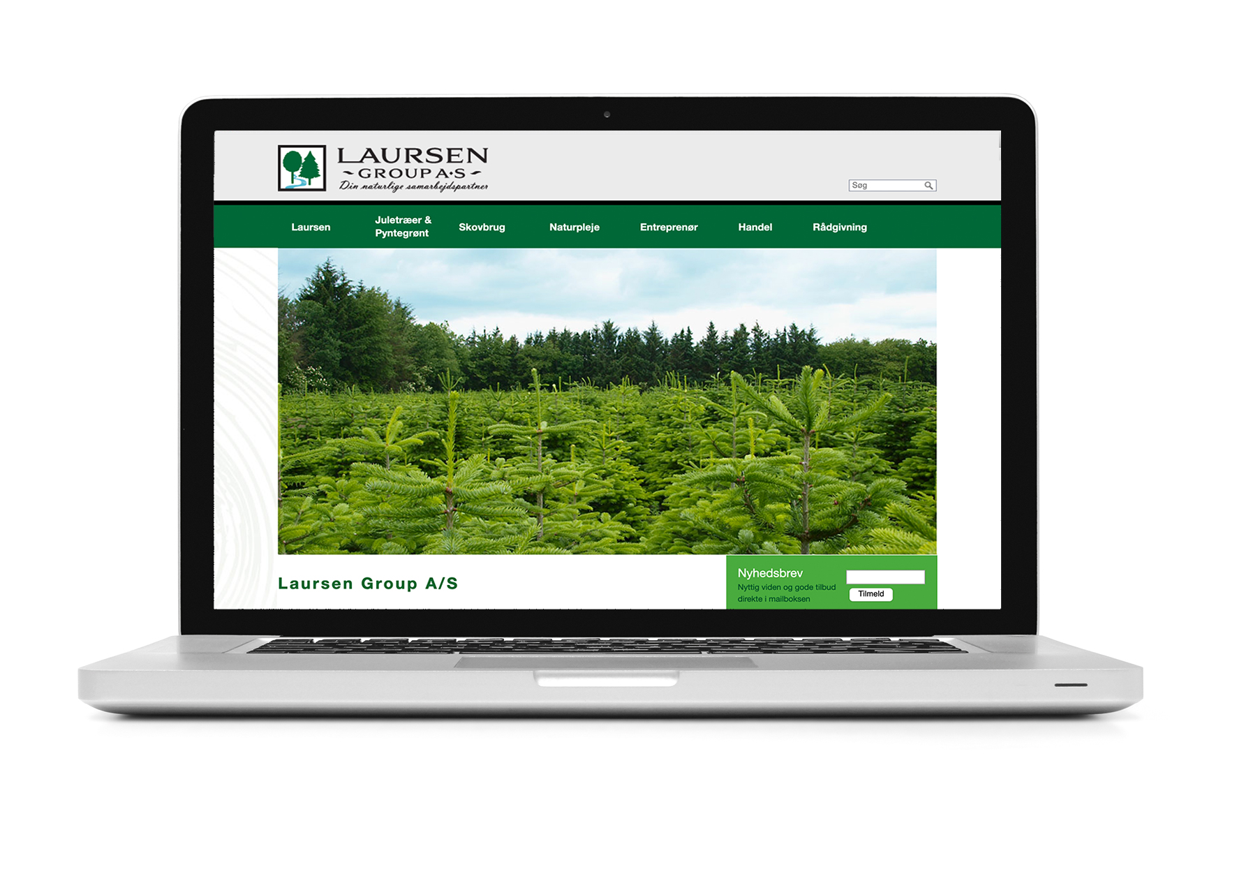 Laursen Group website